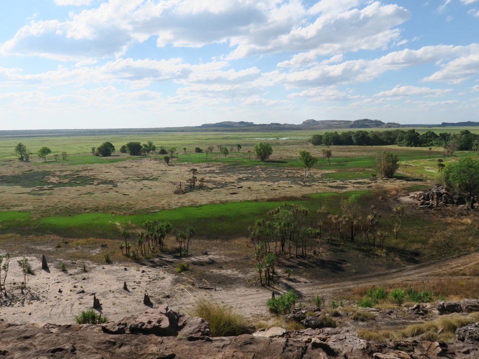 Australia - Kakadu - Billabong