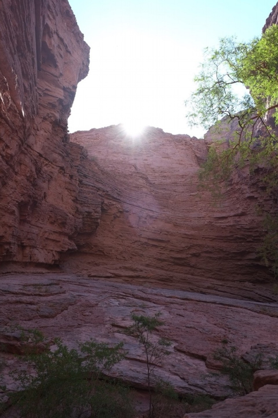 Argentinien - Cafayate - 