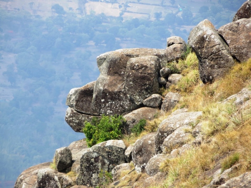 Indien - Sholur - Monkey Head