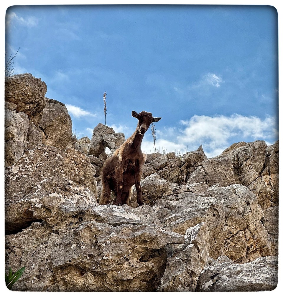 Griechenland - Anopoli - 