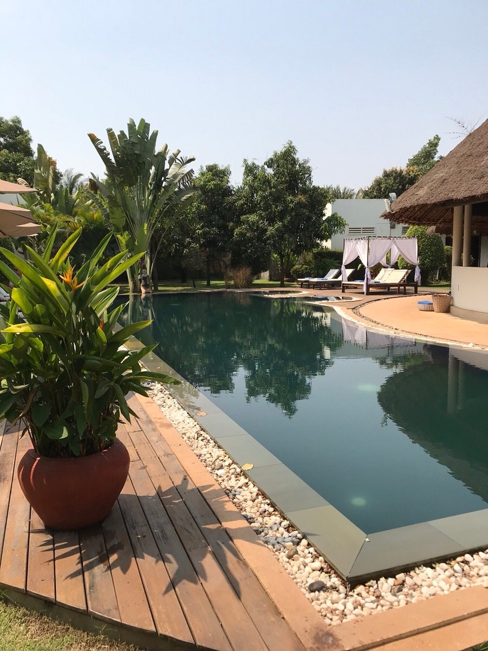 Cambodia -  - Pool at our lovely hotel (Navutu Dreams, Siem Reap)