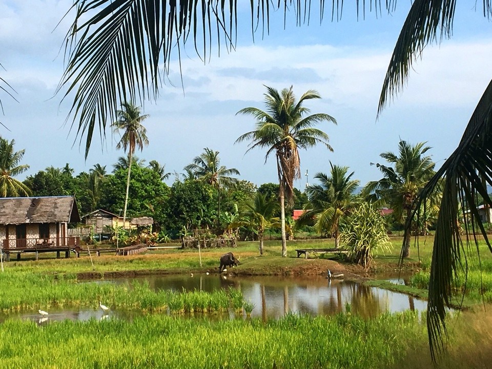Malaysia -  - 