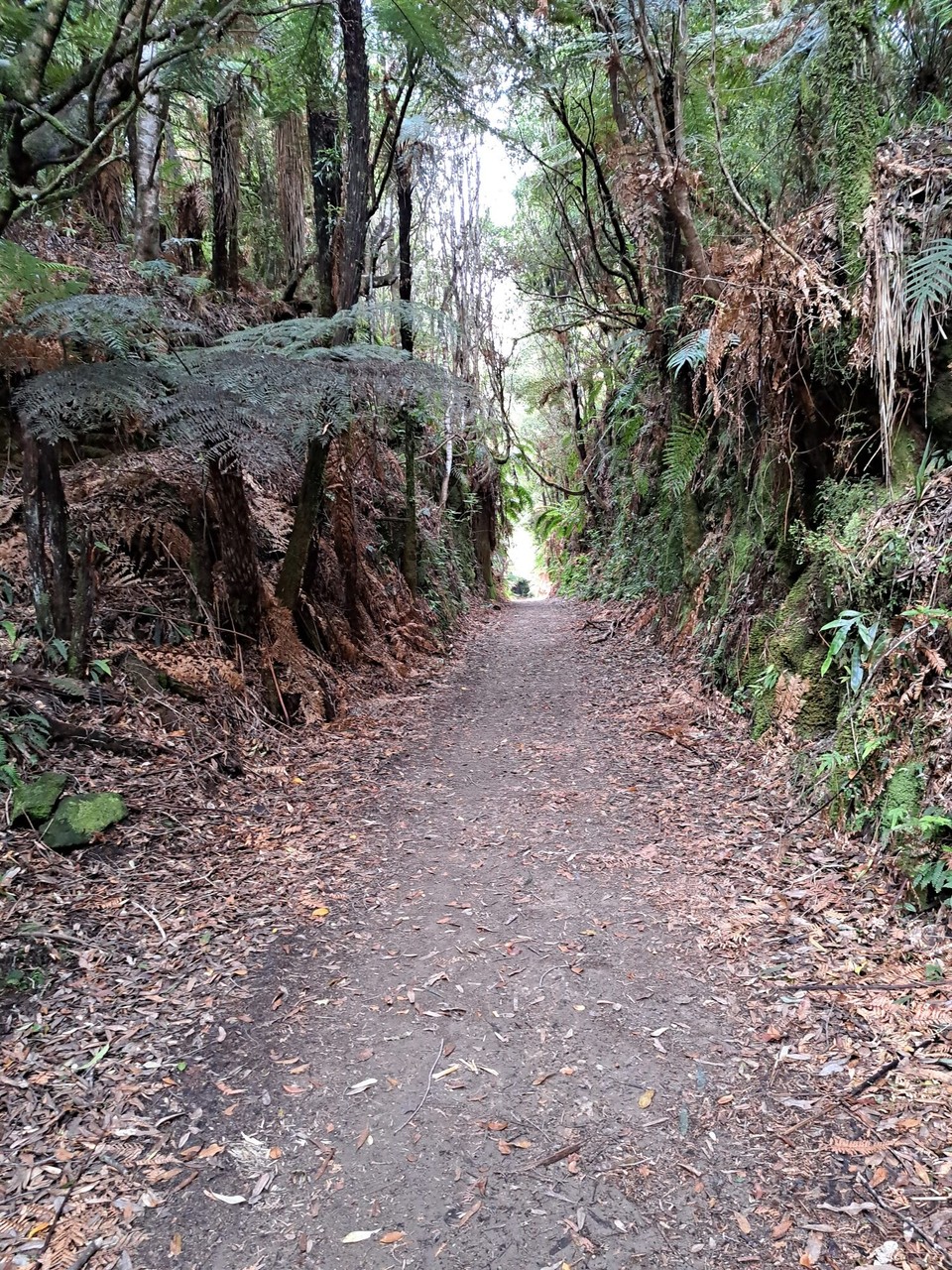 Neuseeland - Taumarunui - 