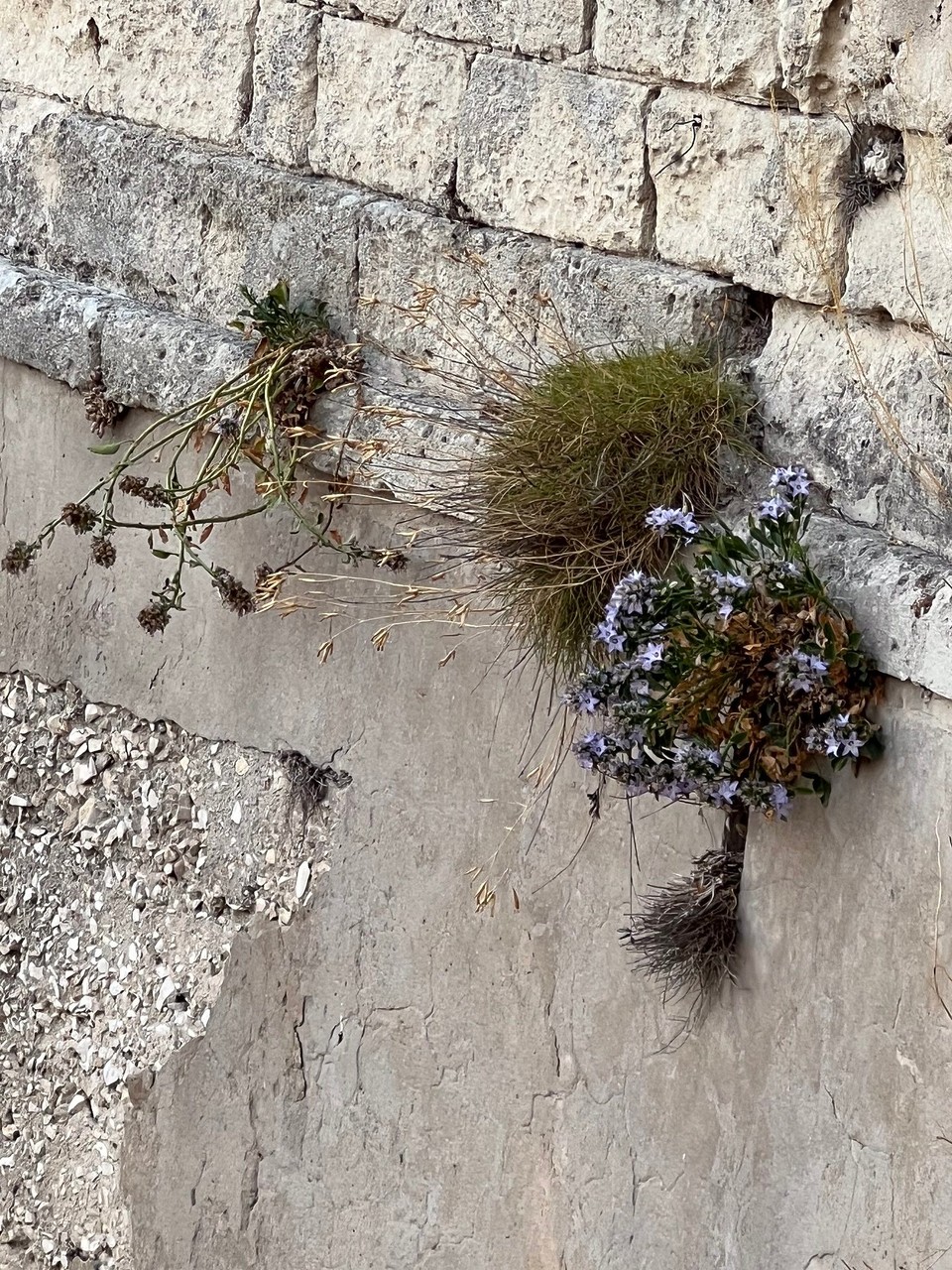 Italien - Matera - 