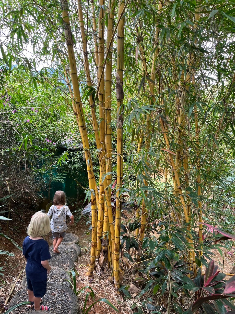 Panama - Santa Fé - 