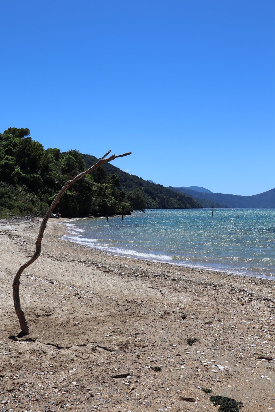 Neuseeland - Picton - 