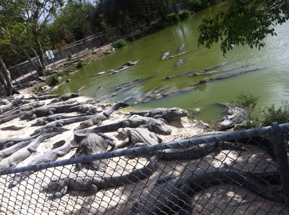 Egyesült Államok - Homestead - 