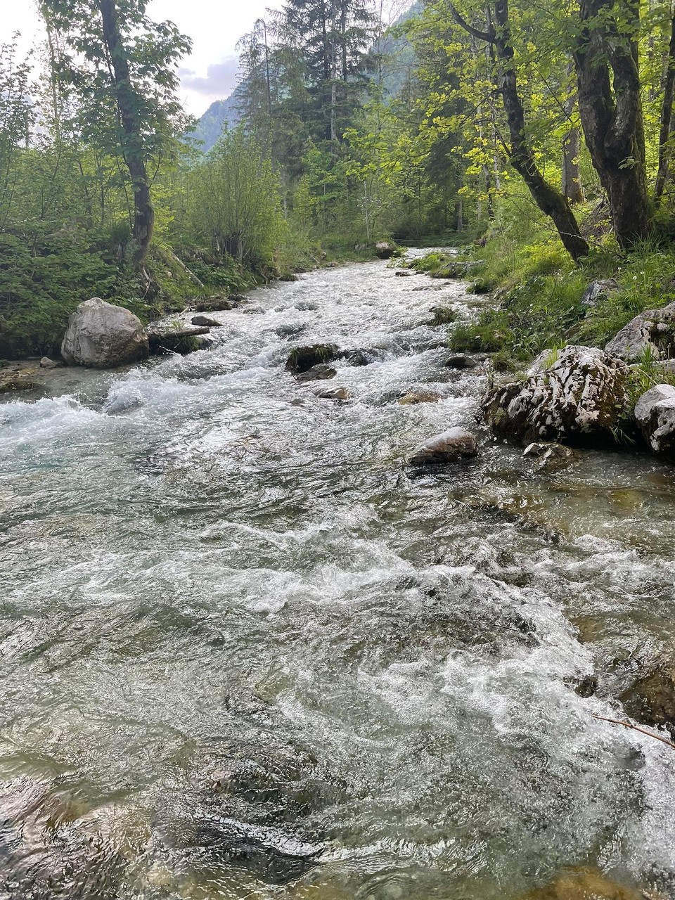 Slowenien - Solčava - 