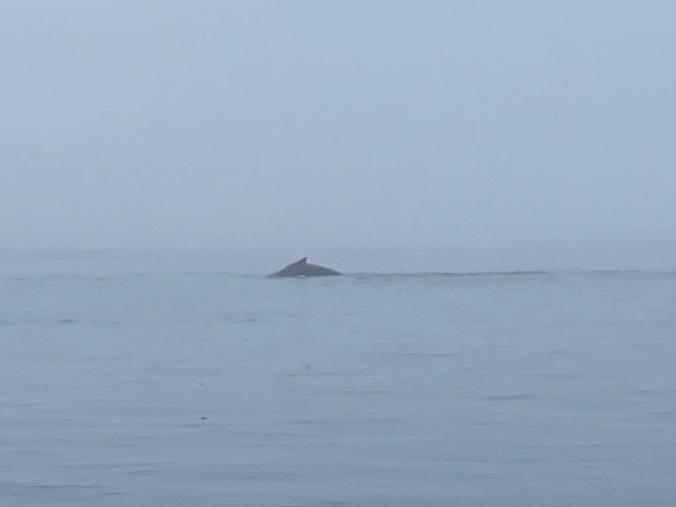 Kanada - Mount Waddington D - 