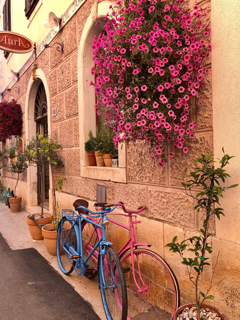 Kroatien - Novigrad - Novigrad