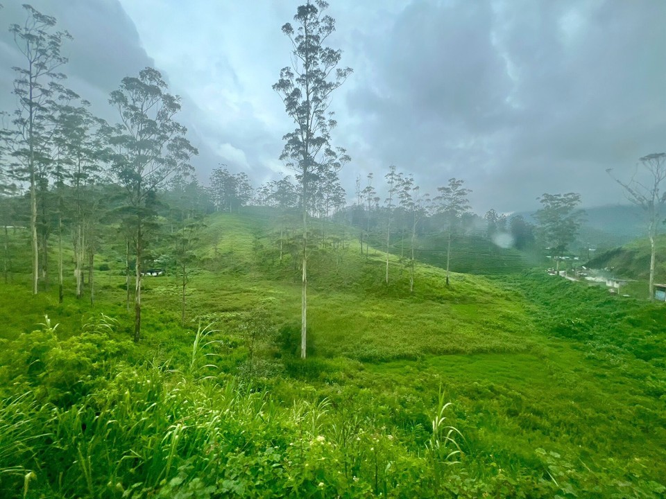 Sri Lanka -  - 