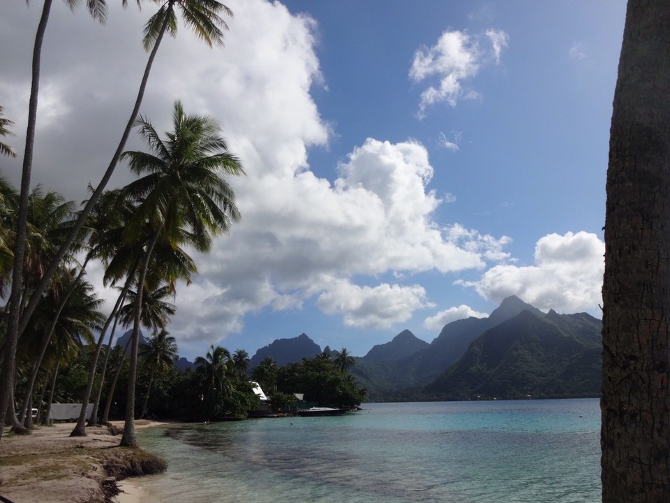 Französisch-Polynesien - Moorea - Und nun mal einige