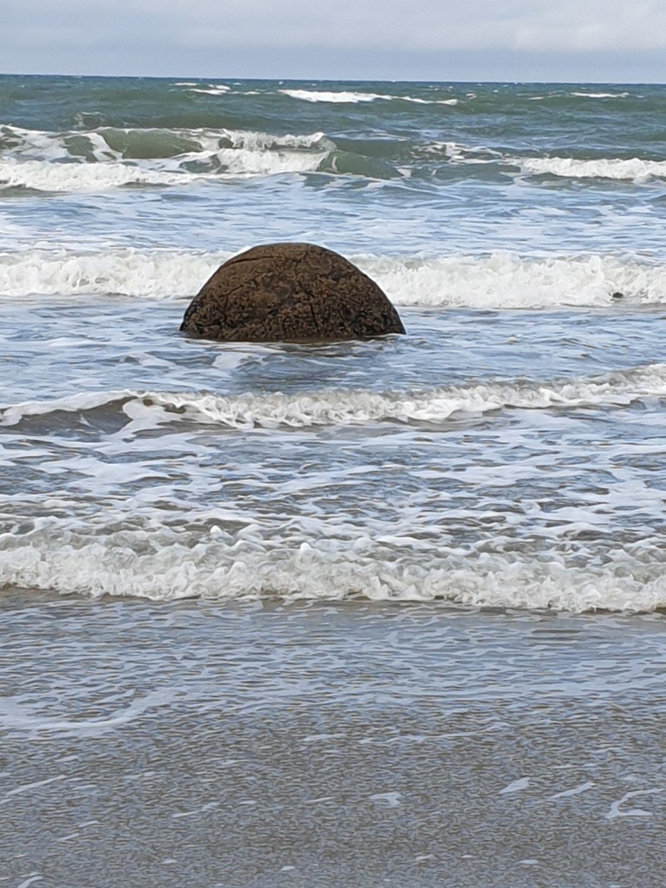 Neuseeland - Moeraki - 