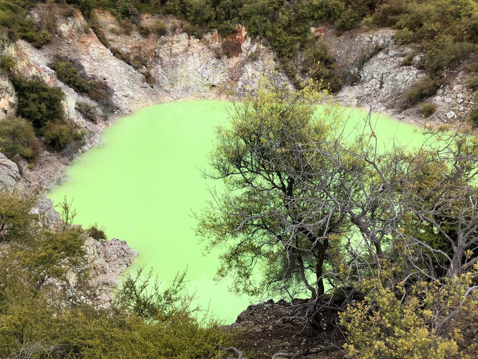 Neuseeland - Awakeri - Algen färben diesen Pool grün. 
