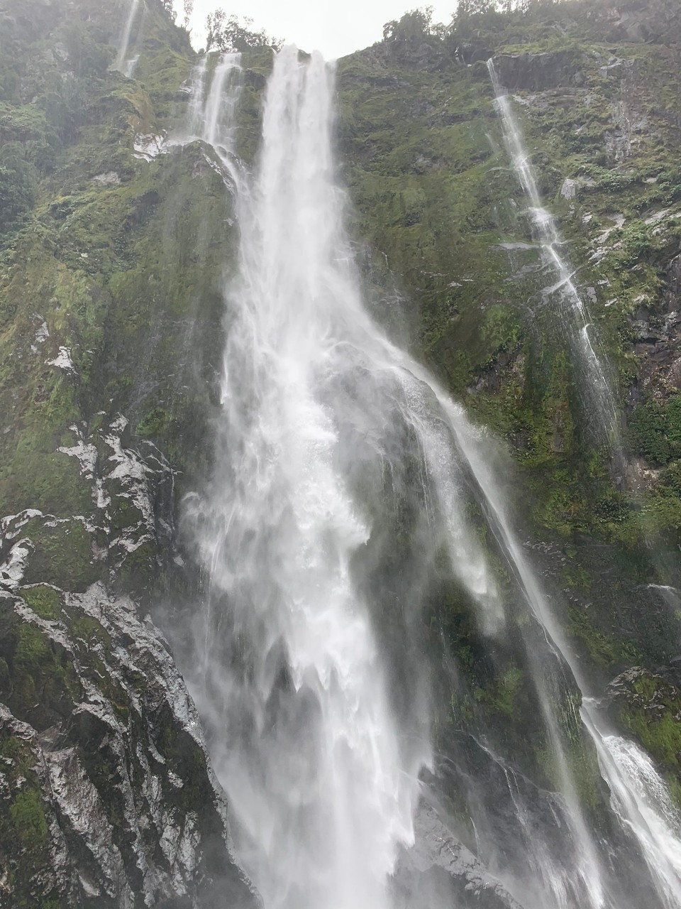 Neuseeland - Milford Sound - 