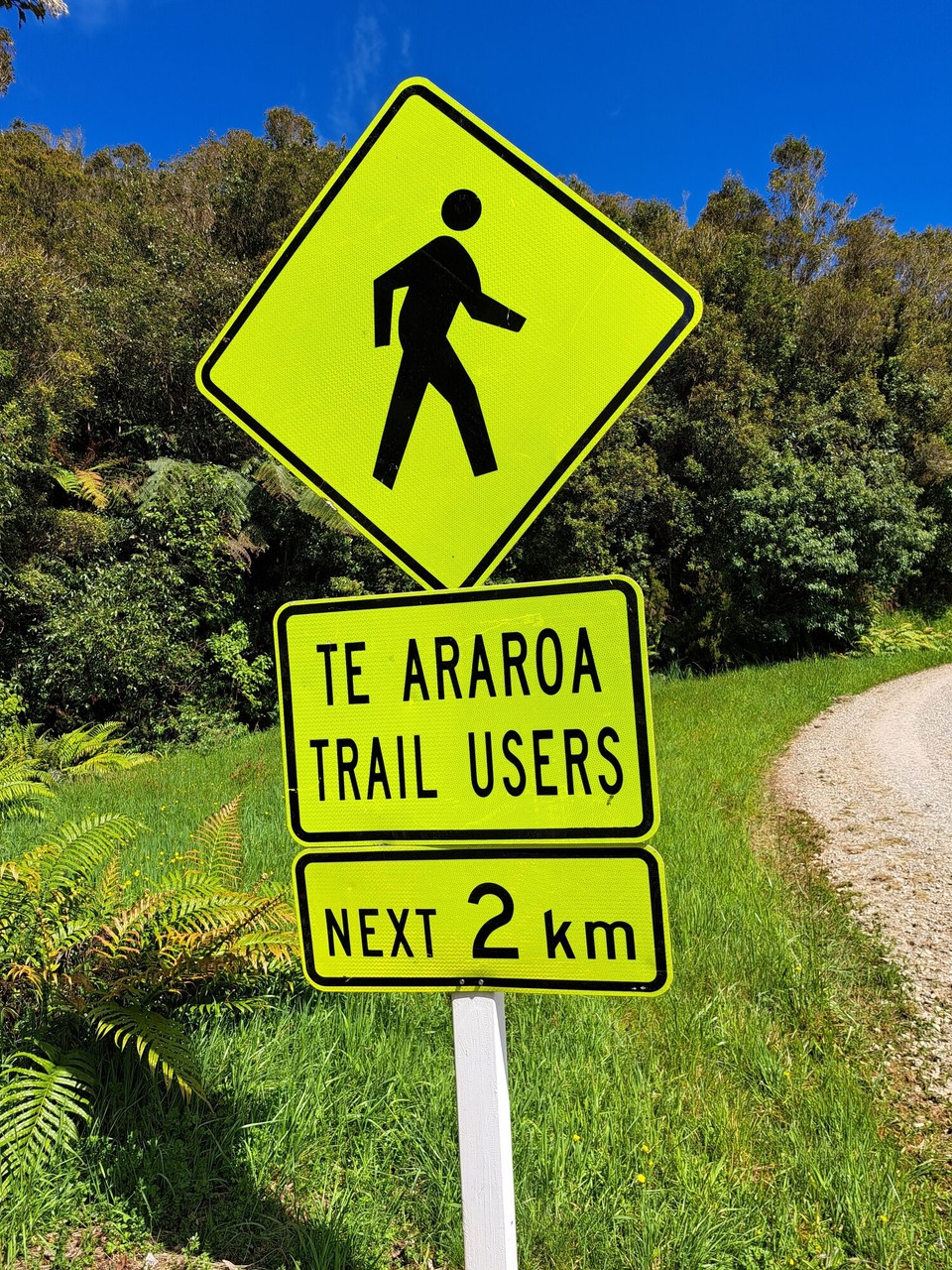 Neuseeland - Puketotara - 