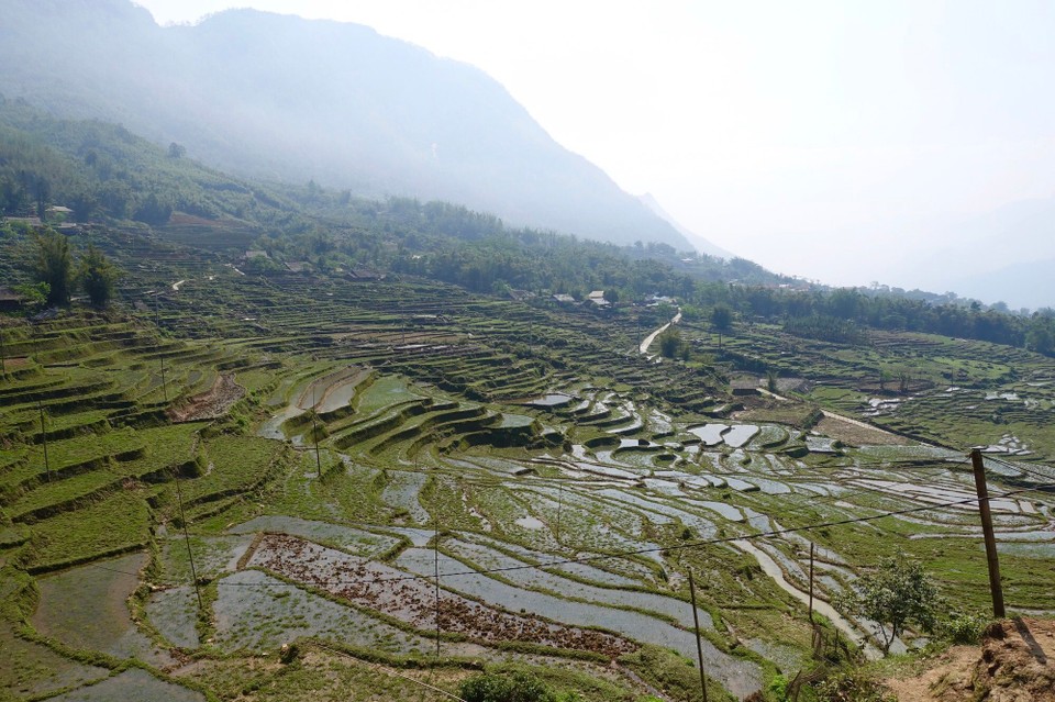 Vietnam - H. Sa Pa - 