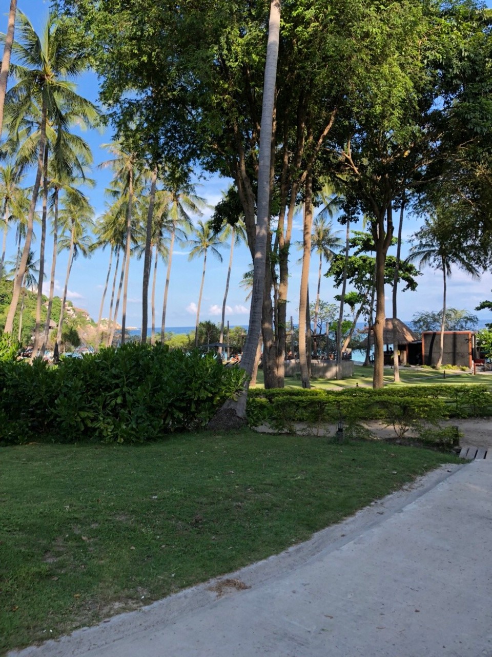 Thailand - Ko Tao - 