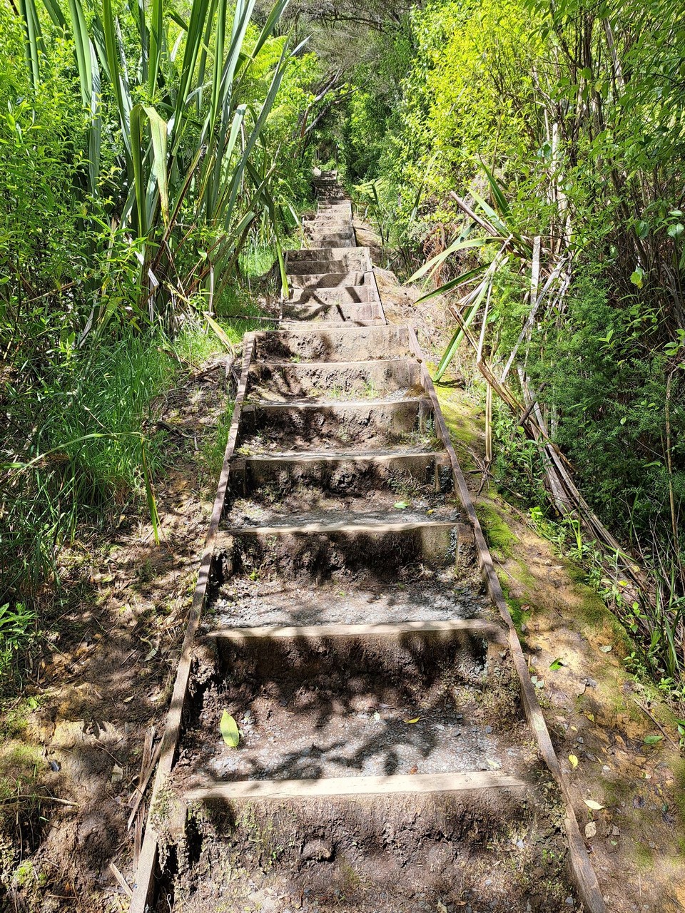 Neuseeland - Ngāruawāhia - Trepp rauf 