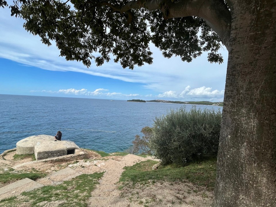 Kroatien - Rovinj - 