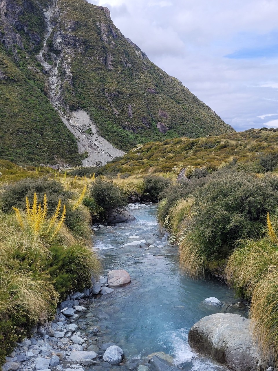 Neuseeland - Aoraki - 