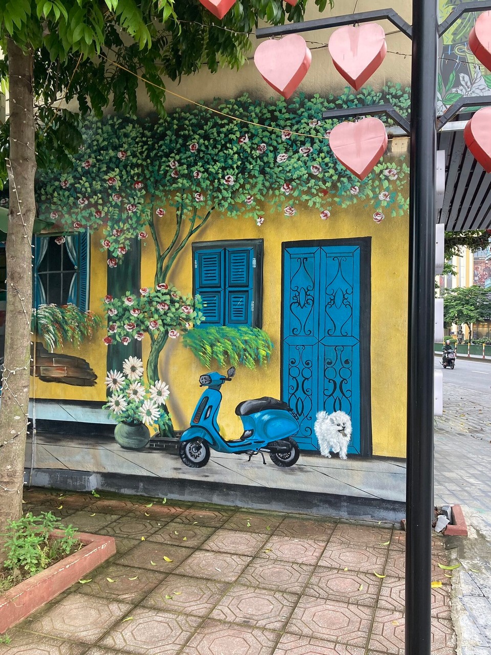 Vietnam - Ninh Bình - 