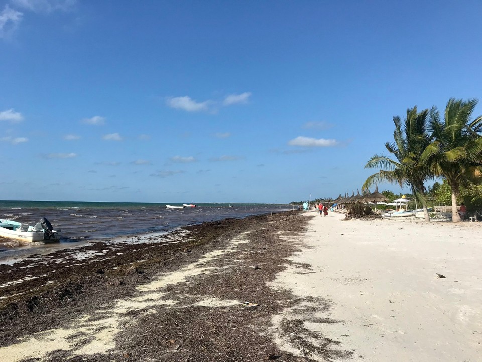 Mexiko - Isla Holbox - 