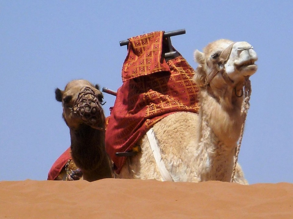 Marokko - Agadir - 