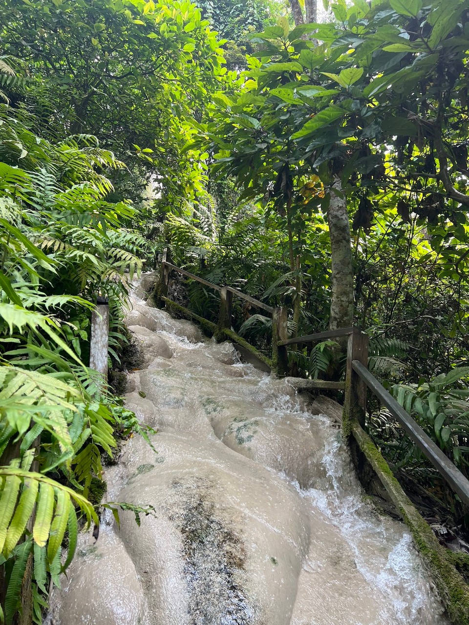 Thailand - Chiang Mai - 