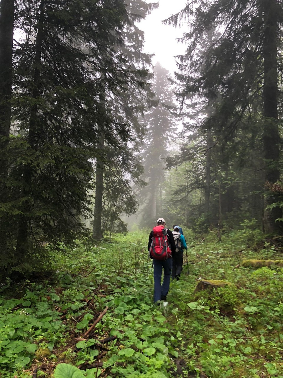 Schweiz - Le Chenit - 