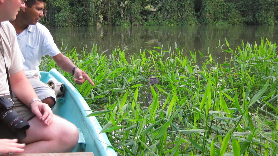Costa Rica - Tortuguero - 