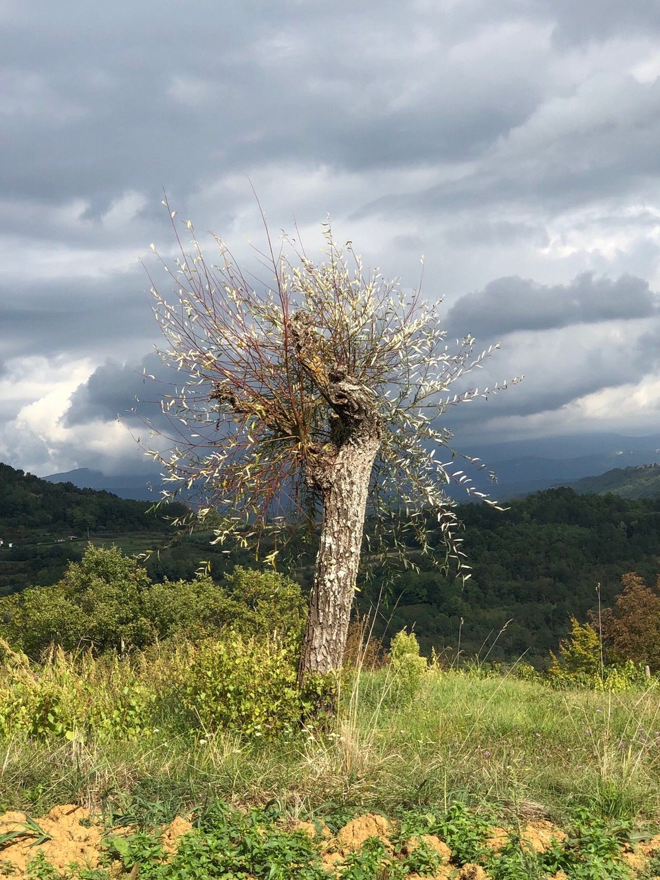 Kroatien - Buzet - Am Staudamm