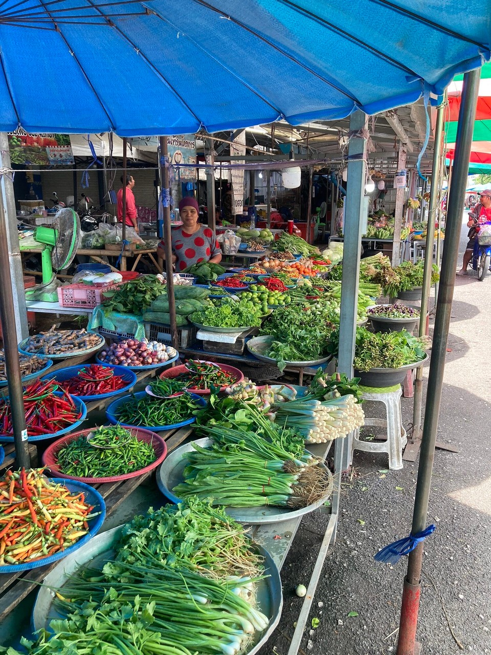 Thailand - Amphoe Hat Yai - 