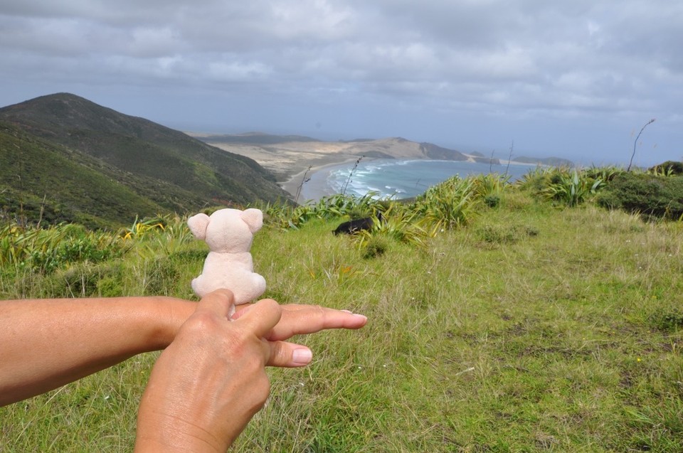 Neuseeland - Cape Reinga - 