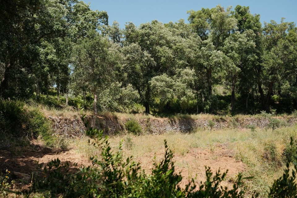 Portugal - Marmelete - 