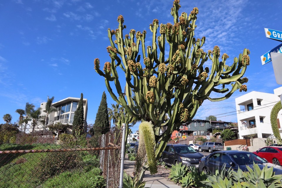 Vereinigte Staaten - San Diego - 