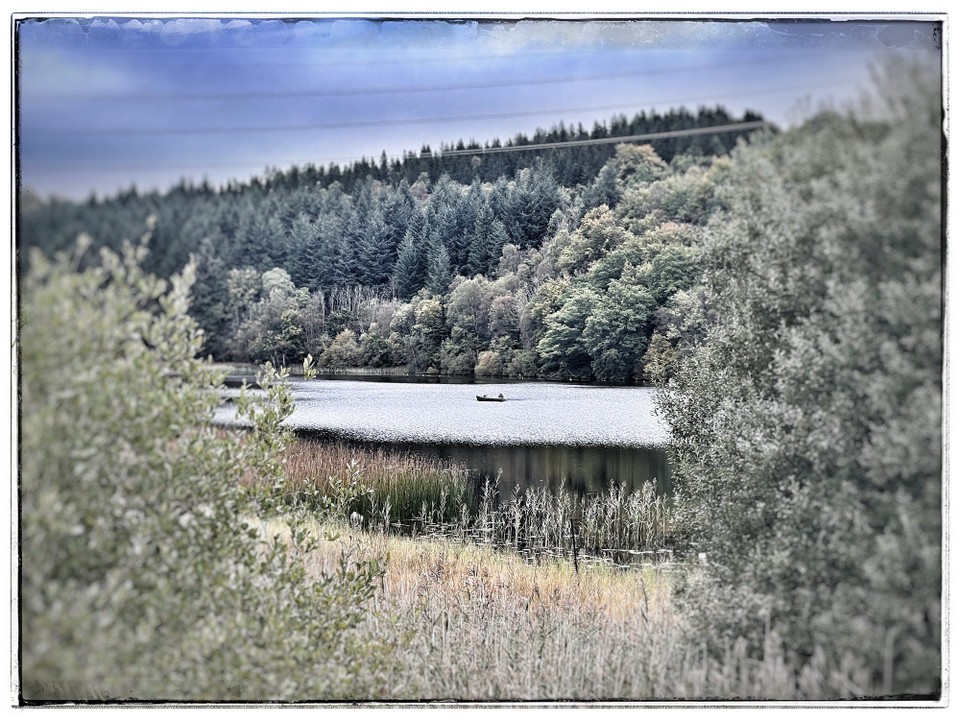 Vereinigtes Königreich - Glasgow - Idyllisch!