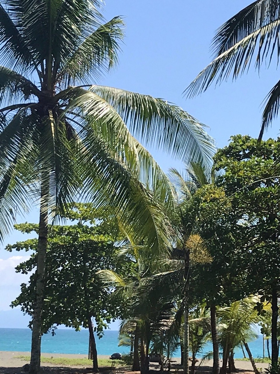 Costa Rica - Golfito - 