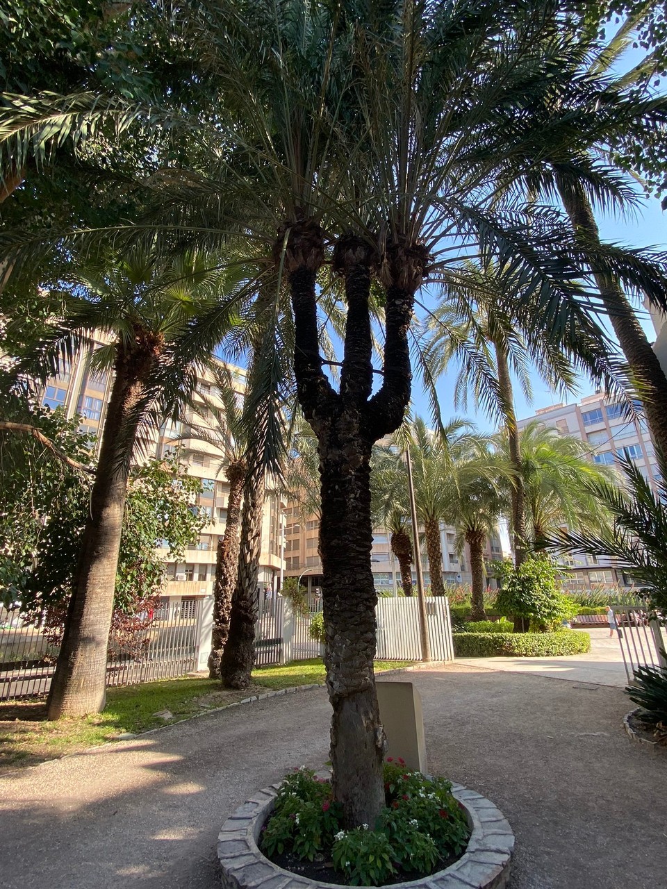 Spanien - Alicante - 