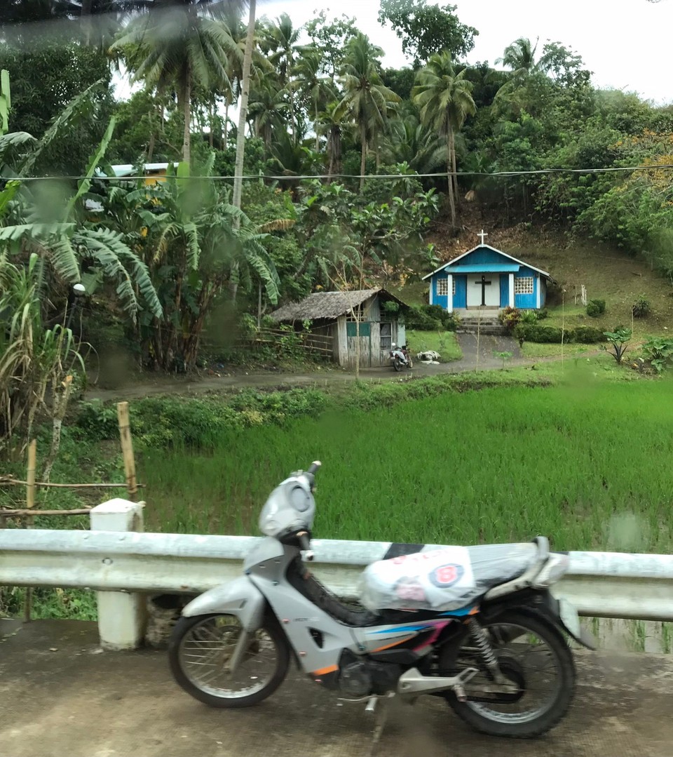 Philippines - Donsol - 