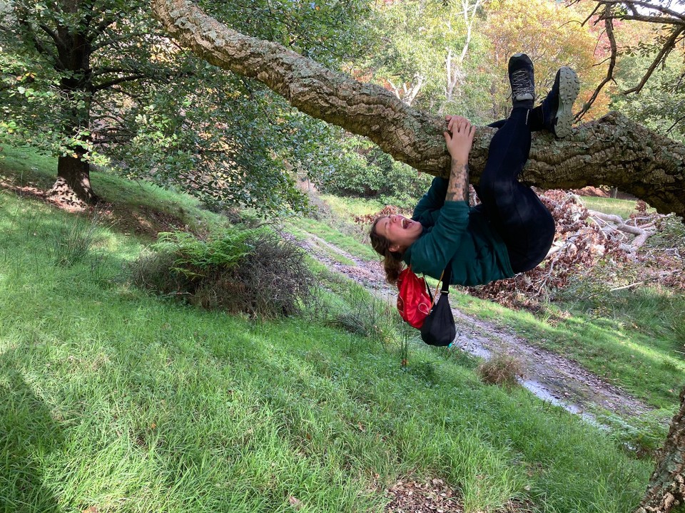 Neuseeland - Gisborne - Ein Faultier?! 🤪