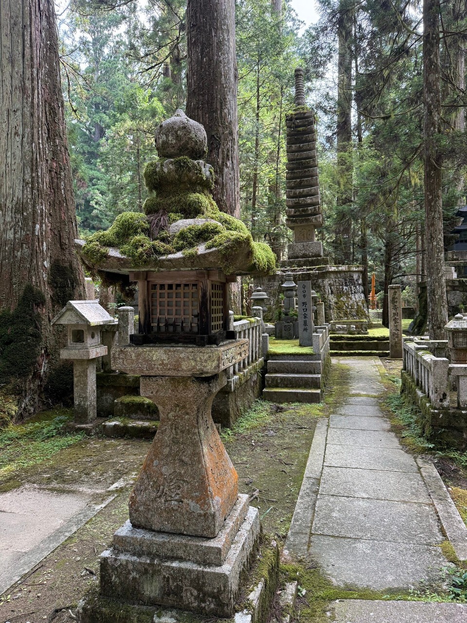 Japan - Tanabe - Unterwegs auf dem Friedhof