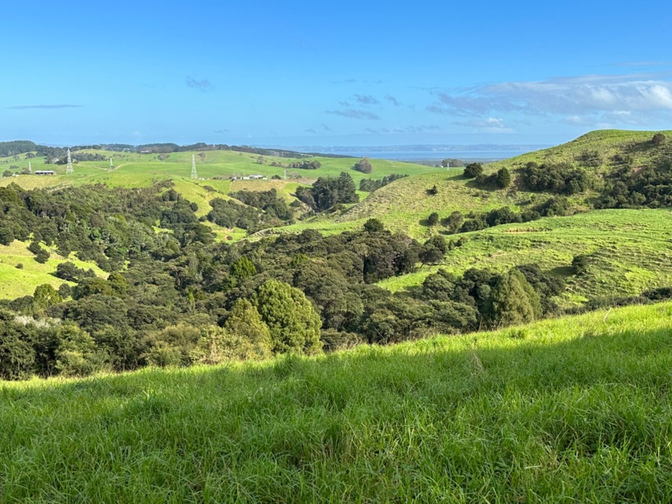 Neuseeland - Auckland - … unterwegs auf Highway 12