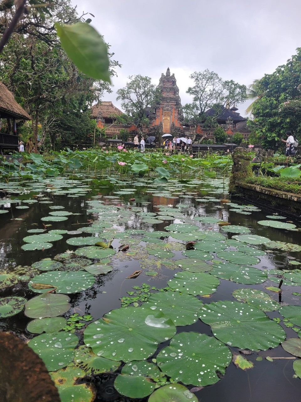 Indonesien - Ubud - 