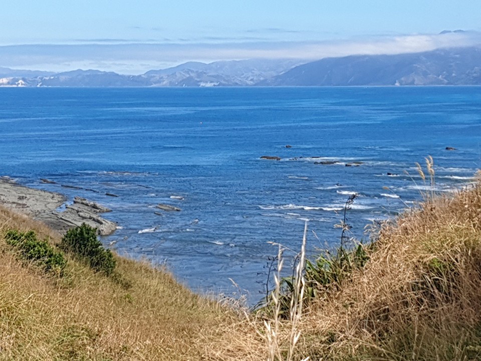 Neuseeland - Kaikoura - 