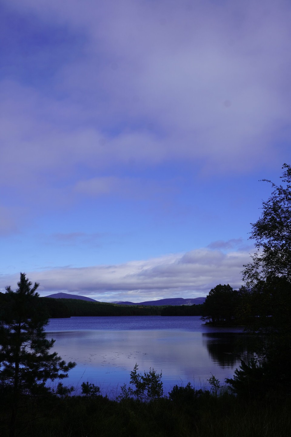 Vereinigtes Königreich - Aviemore - 