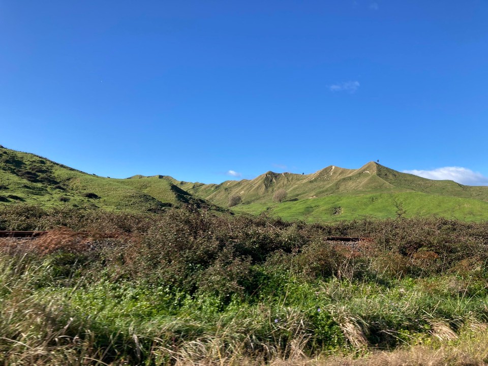 Neuseeland - Napier - 