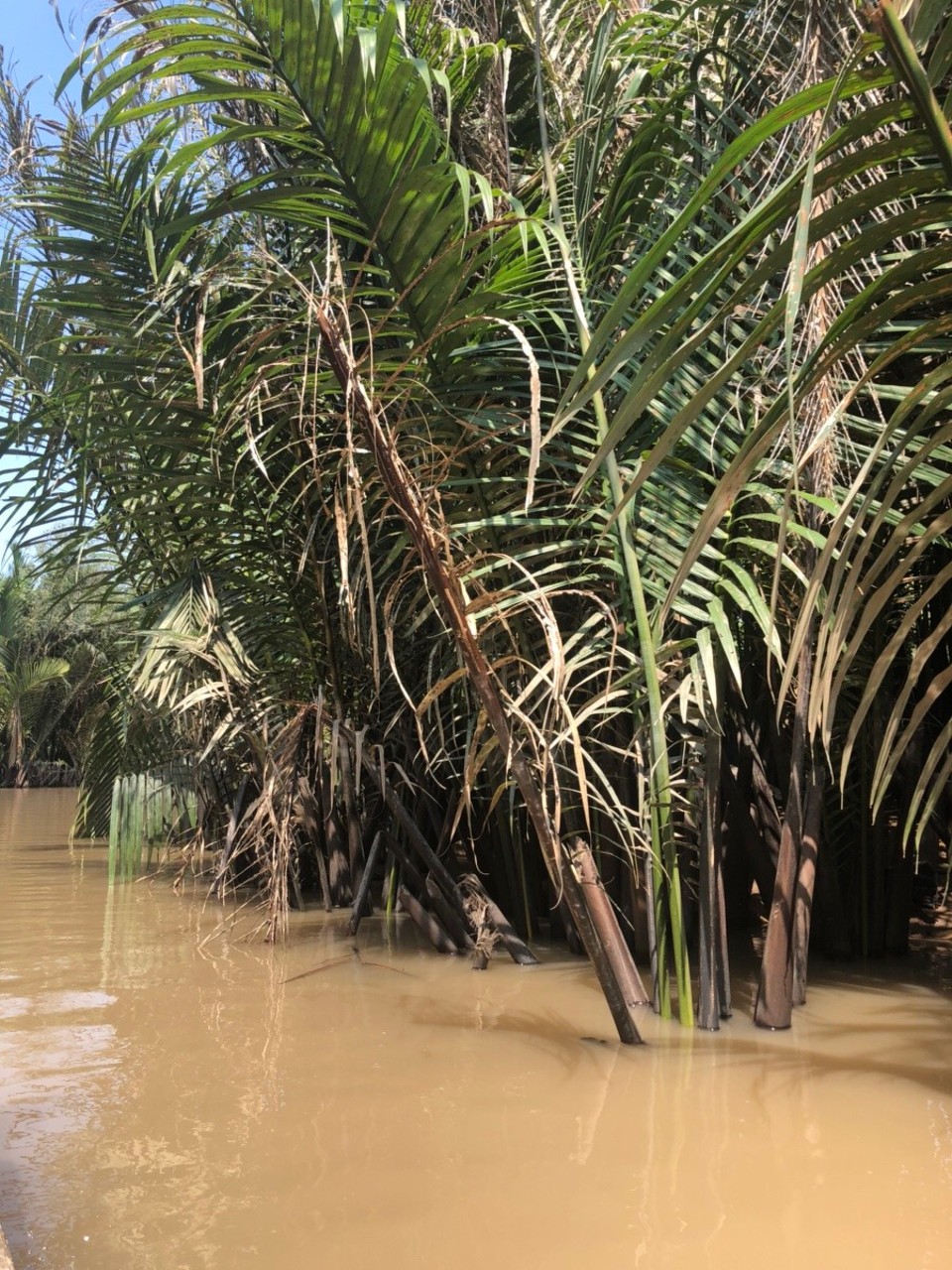 Vietnam - Mỹ Tho - 