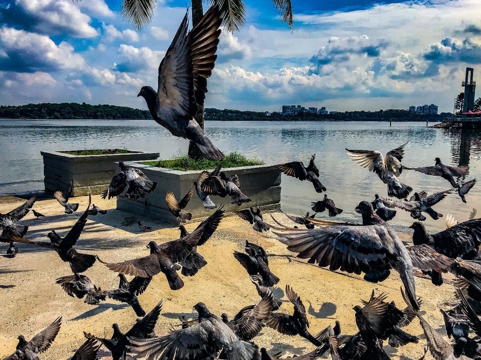 Malaysia - Johor Bahru - 