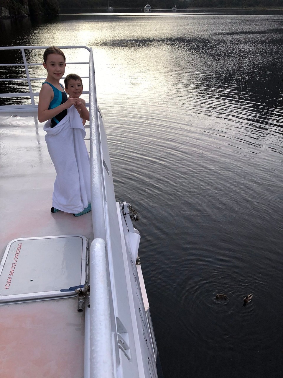 Neuseeland - Milford Sound - Auch die Enten haben Hunger und werden gefüttert.